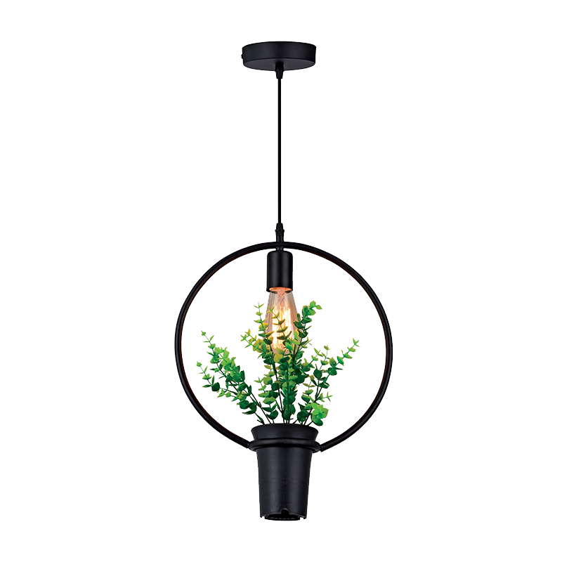 watch product