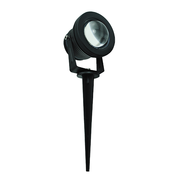 watch product