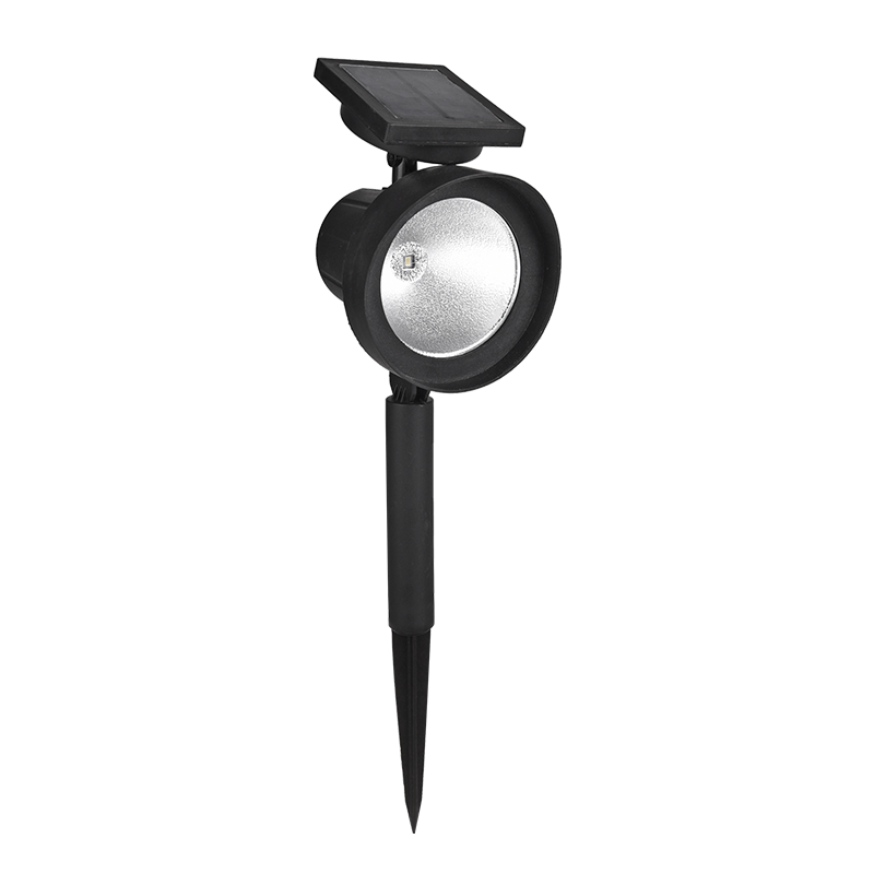 watch product